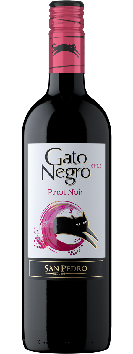 Vino Gato Negro Pinto Noir